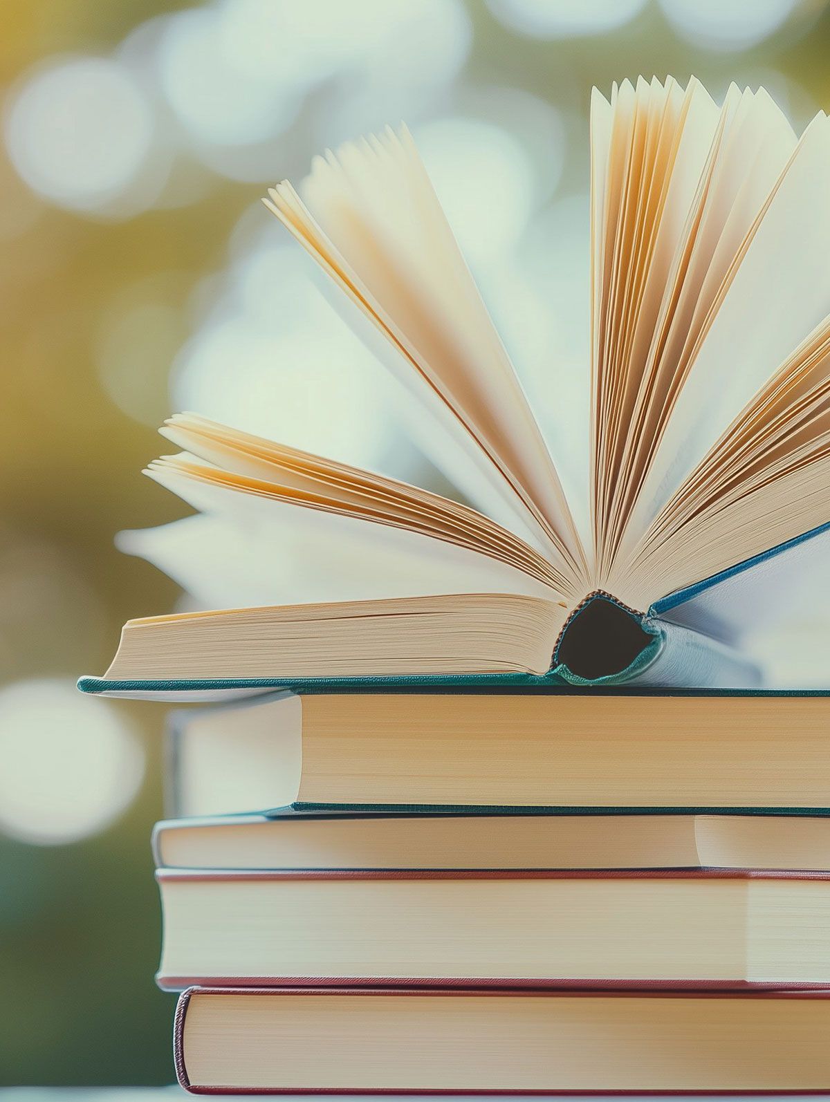Bücher 